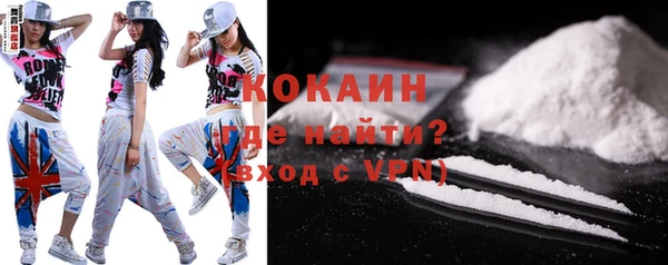 прущие грибы Балахна