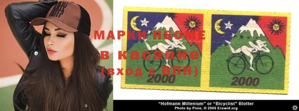 прущие грибы Балахна