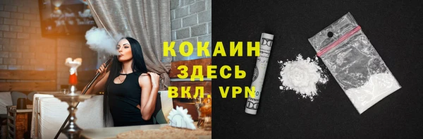 сатива Аркадак