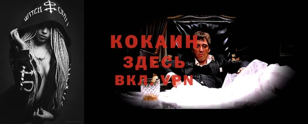 прущие грибы Балахна