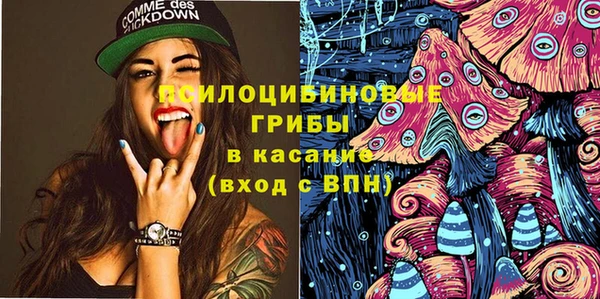 сатива Аркадак