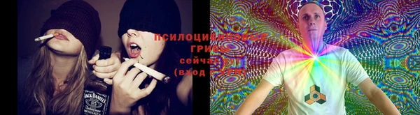 гашишное масло Покачи