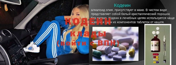 прущие грибы Балахна